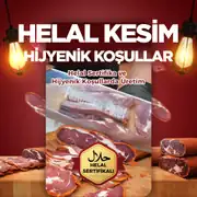 Kayseri Pastırması 6